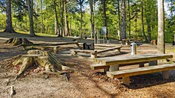 Feuerstelle Waldpark