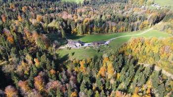 Das Gasthaus Fuchsacker liegt mitten in der Natur mit Wald und Wiesen