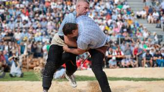 Schwingen