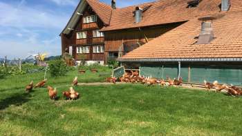 Fusterhof |Appenzell,| Meistersrüte