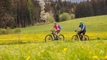 Geführte Bike- und Velotouren