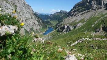 Sage «Gottes Augenwasser»