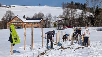 Natur verbindet – Pflanzung in Waldstatt