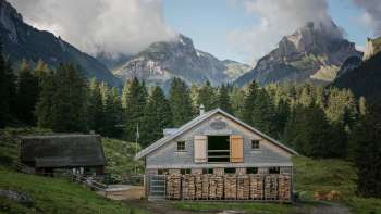 Besuch auf der Alp Soll