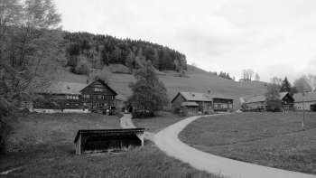 Baugeschichte der Appenzeller Häuser