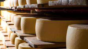 Appenzeller® Käse