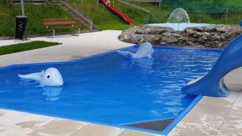 Freibad Waldstatt