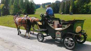 Kutschenplausch und Barfussweg