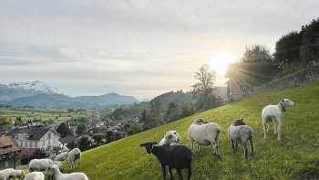 Geführte Wanderung: Schlusswanderung zu unseren Kollektivmitgliedern