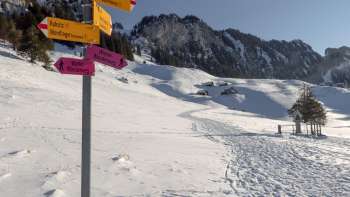 Winterpauschale «Häxewäldli»