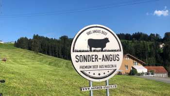 Sonder-Angus,| Haslen