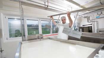 Von der Ziegenmilch zum Ziegenkäse