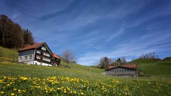 Erna's| hausgemachte| Eierteigwaren,| Schlatt
