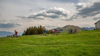 Kulinarische E-Bike-Tour, Angebot II