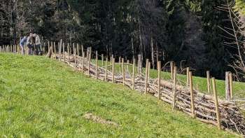 Natur verbindet – Benjeshecke in Trogen