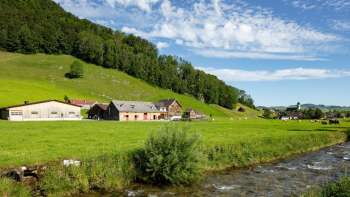 Appenzeller| Poulet Familie Manser,| Schwende